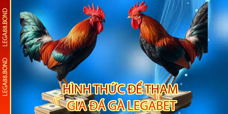 Hình Thức Để Tham Gia Đá Gà Legabet