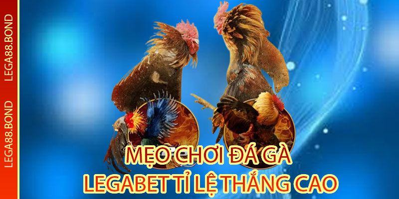 Mẹo Chơi Đá Gà Legabet Tỉ Lệ Thắng Cao