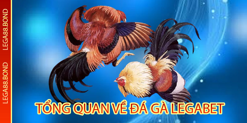 Tổng Quan Về Đá Gà Legabet